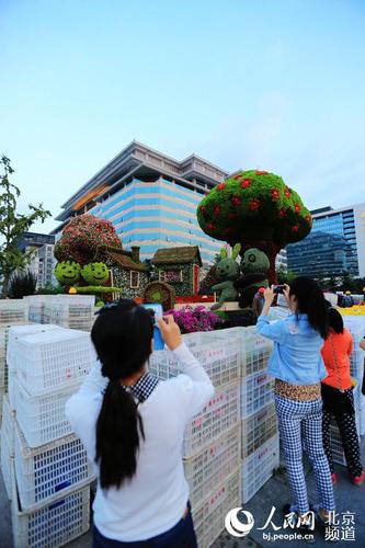 位于長安街沿線的“和諧家園”立體花壇尚未布置完畢，市民游客已在觀賞留影。