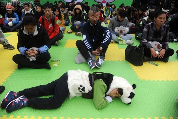 11月18日，首屆全國“發(fā)呆大賽”首站在成都寬窄巷子舉行。3