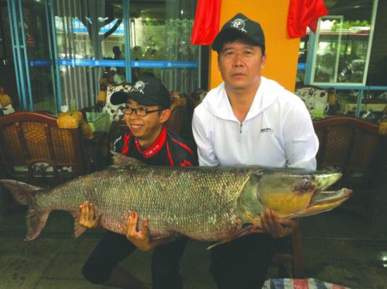 成都父子釣起近百斤大魚(yú)激戰(zhàn)三個(gè)半小時(shí)2