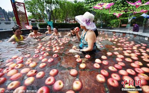 洛陽(yáng)一景區(qū)辦奇葩“溫泉水果浴” 蘋果黃瓜連泡帶吃