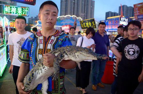 沈陽(yáng)現(xiàn)鱷魚(yú)肉烤串 20元一串引市民圍觀