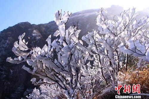 新一輪降溫致廣東金子山再現(xiàn)冰雪美景（圖）