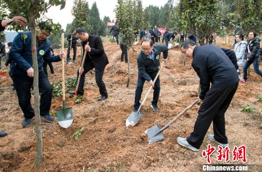 四川綿陽設立以大熊貓保護等為目標的公募專項基金