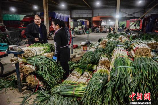 資料圖：凌晨4點(diǎn)的通州八里橋批發(fā)市場(chǎng)，喧鬧異常。 <a target='_blank' href='http://www.chinanews.com/' >中新網(wǎng)</a>記者 富宇 攝