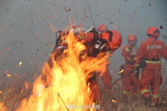 內(nèi)蒙古那吉林場(chǎng)森林火災(zāi)明火已撲滅 清理工作展開(kāi)