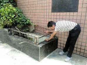 母親棋牌室打麻將 1歲多兒子不慎翻入水池內(nèi)溺亡