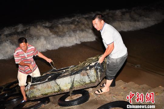 臺風(fēng)“苗柏”在深圳大鵬半島登陸