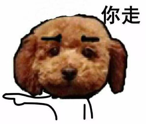 女子泰迪犬被準(zhǔn)公婆弄丟：找不回來堅決不結(jié)婚