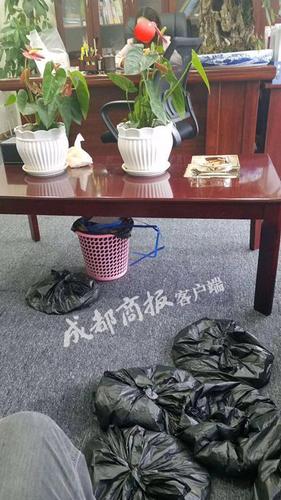 雅安老師離職后收到16660枚硬幣的押金 花4小時才數(shù)完