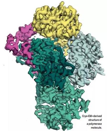 《科學》年度突破:中國小組冷凍電鏡技術(shù)獲進展