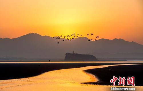 遠(yuǎn)處的廬山、湖中的鞋山與時(shí)而飛過的候鳥，在夕陽余暉的映照下呈現(xiàn)出一幅美麗的冬日畫卷?！「到ū?攝