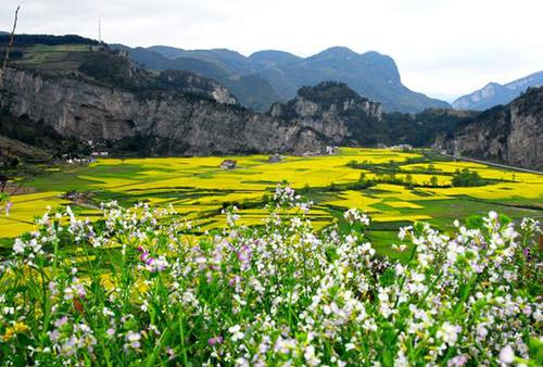 鄉(xiāng)村旅游