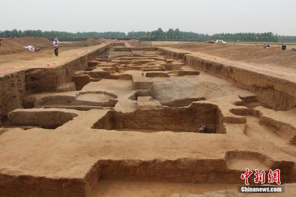 山東章丘焦家遺址考古工地現(xiàn)場圖。趙曉　攝