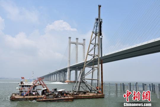 新建福廈鐵路泉州灣跨海大橋系國(guó)內(nèi)首條跨海高鐵大橋，與之相鄰的是已建成的泉州灣跨海高速公路大橋?！↑S偉鋒 攝