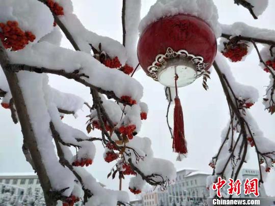 圖為街邊雪景?！垨|艷 攝