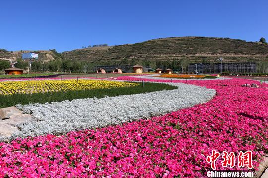 圖為西寧市大通縣花海。(資料圖) 鐘欣 攝