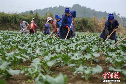 點擊進入下一頁