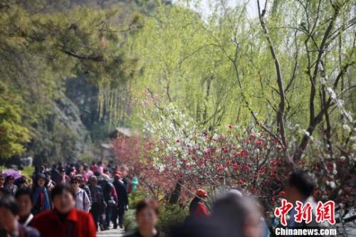 4月1日，大批游客在江蘇揚州瘦西湖踏青游玩，親近自然?！∶系慢?攝