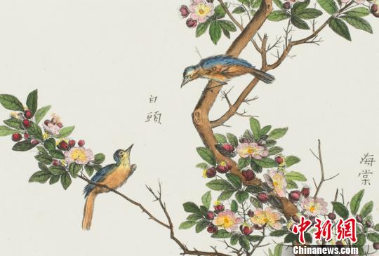 展品《中國植物——海棠》。黑龍江省美術(shù)館提供