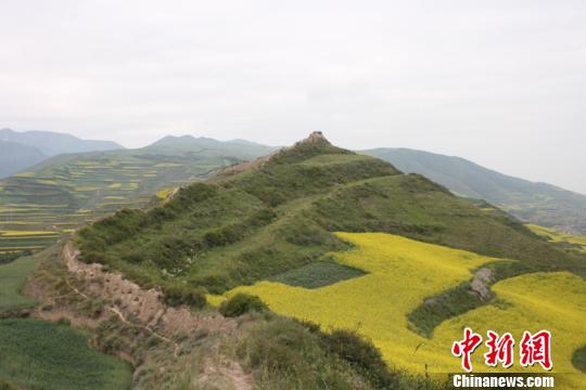 圖為青海省境內(nèi)明長(zhǎng)城。青海省文物局供圖