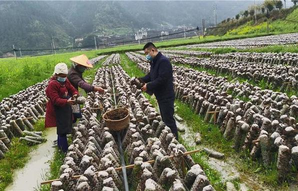 “村看村，戶看戶，群眾看黨員，黨員看干部”