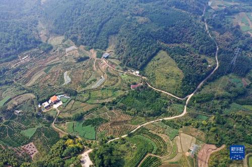 廣西靈川縣靈田鎮(zhèn)正義村（10月27日攝，無人機(jī)照片）。