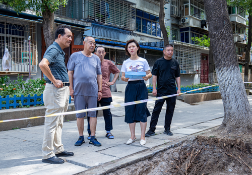 王小雨（右二）與政協(xié)委員、居民代表就小區(qū)管道安裝事宜現(xiàn)場協(xié)商。 （圖片由受訪者提供）